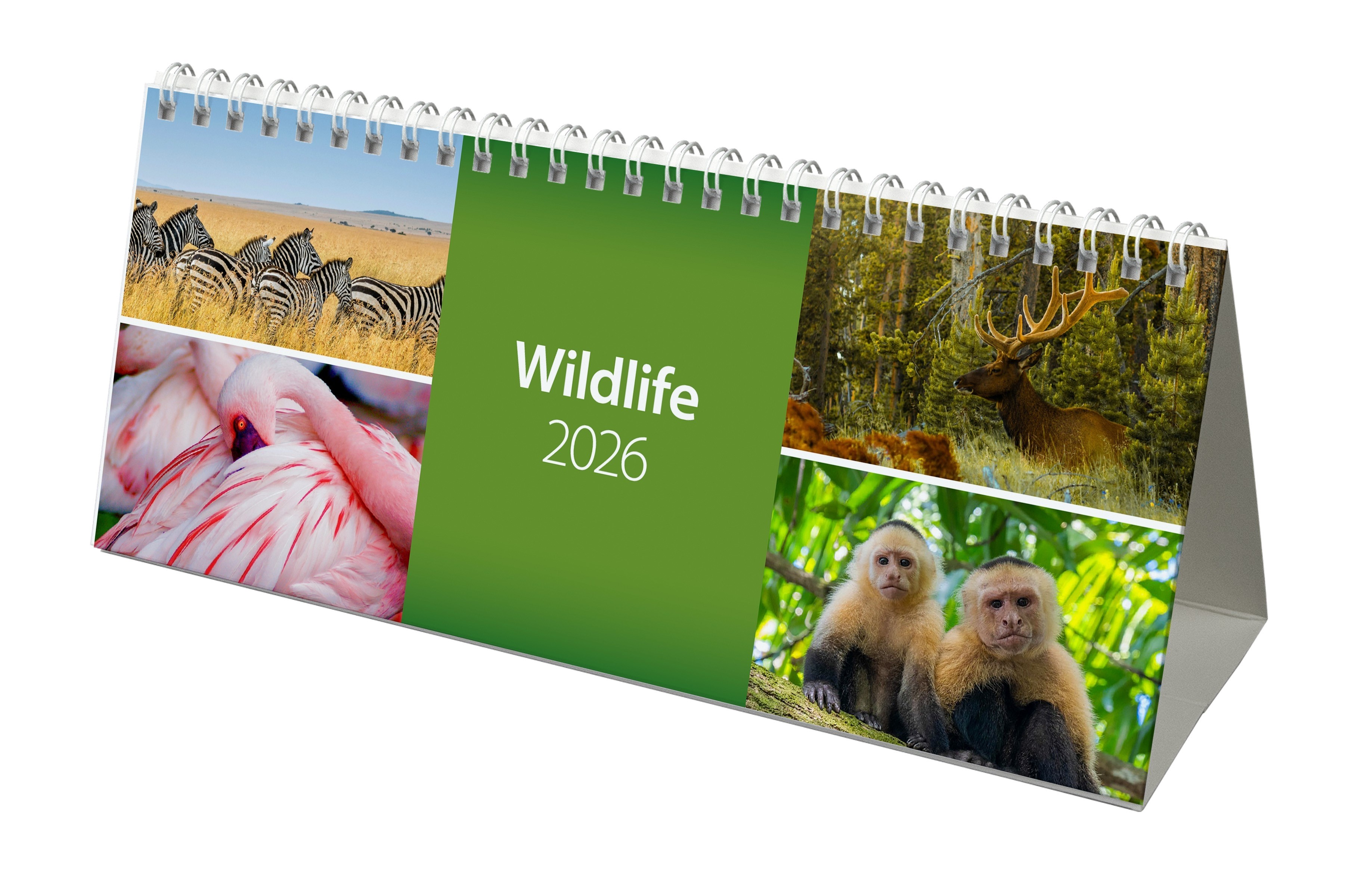 2026 World Wildlife Desk Calendar