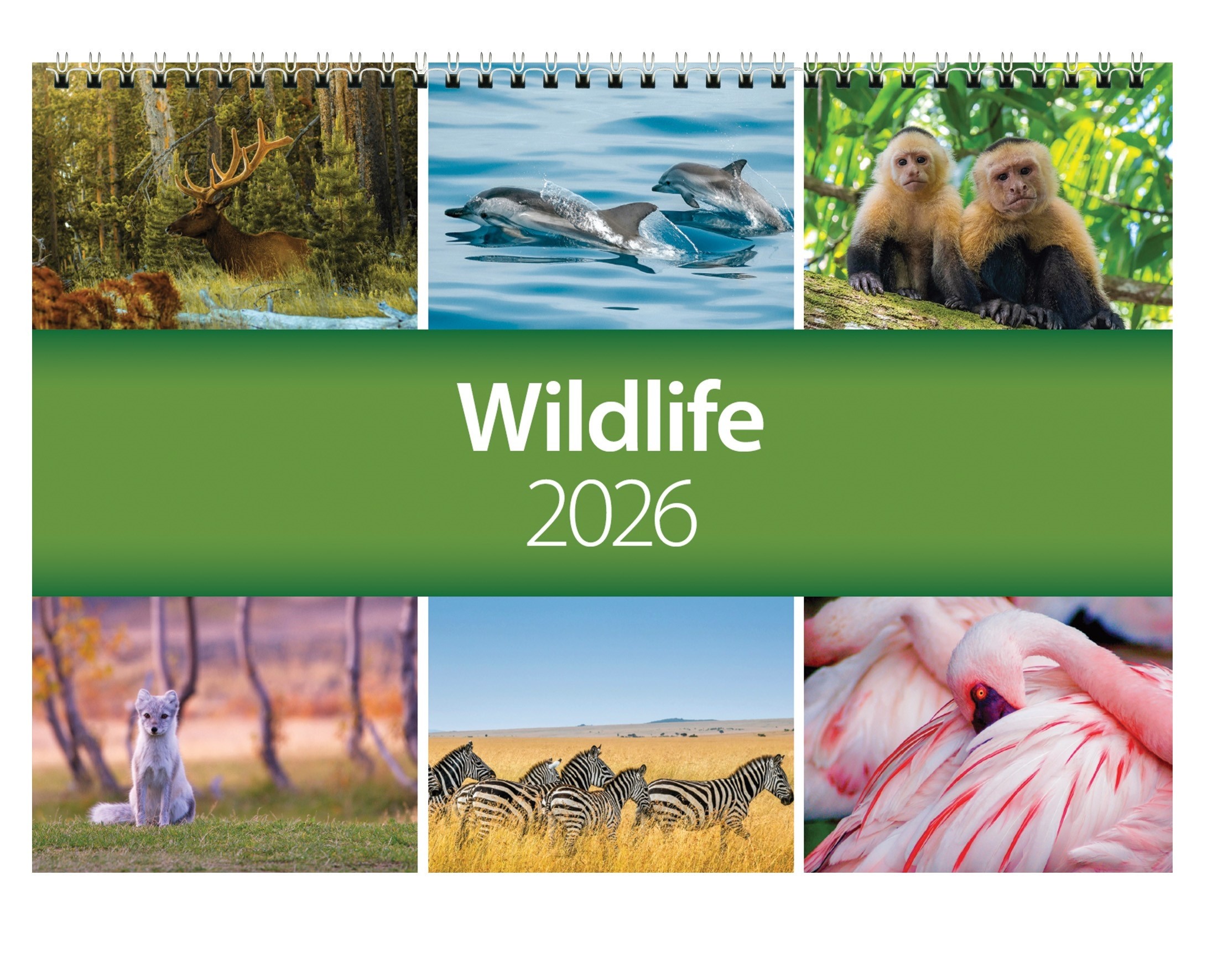 2026 World Wildlife Wall Calendar