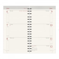 Senator 13 Month 2026 Pocket Diary Refill / Insert & Planorama 