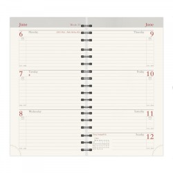 2026 IRISH Senator Diary Insert Refill / Insert & Planorama with Irish Maps