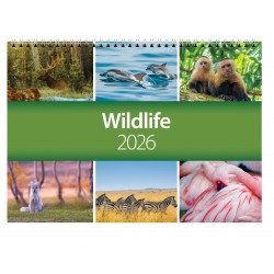 2026 World Wildlife Wall Calendar